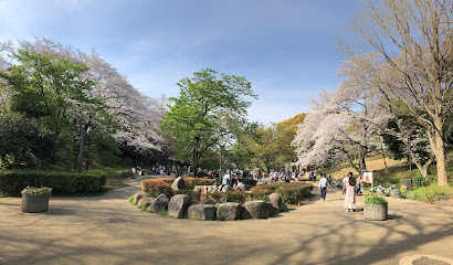 三ツ池公園 水遊び場