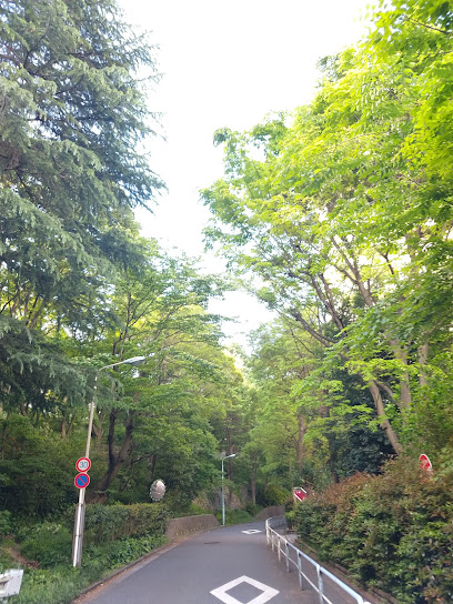 Itabashi Kuritsu Nakadaisakura Park