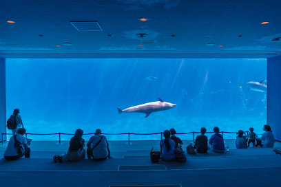 Port Of Nagoya Public Aquarium