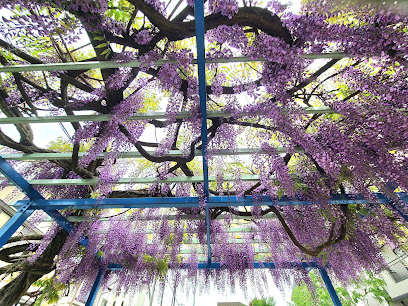 Hiyoshicho Kobato Park