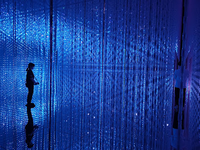 teamLab Planets