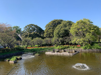 Musashi Pond