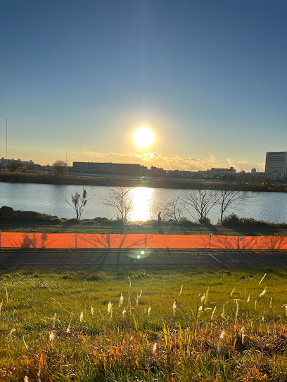 Tamagawa Kasenjiki Buta Park