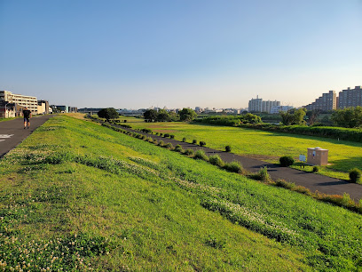 多摩川緑地（中丸子地区）