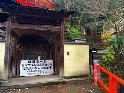 Fudo Hot Spring