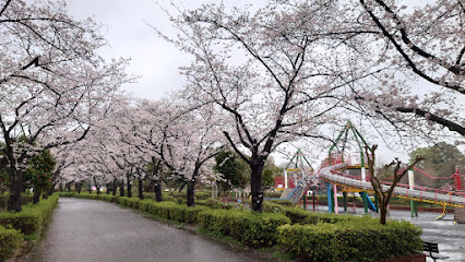 Ageo Maruyama Park