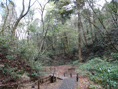 Aobayama (National Natural Monument)