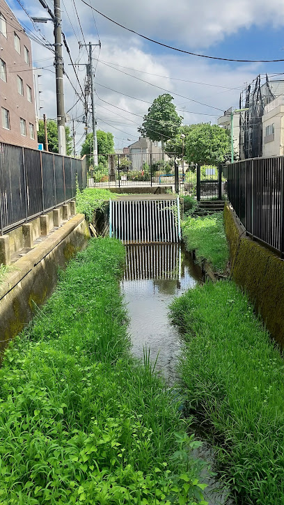 三田用水 取水口跡