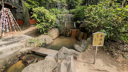 Golden Dragon Spring 金龍泉