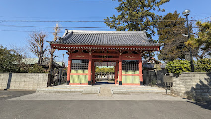 Yogo Pine Tree in Zen'yo-ji Temple