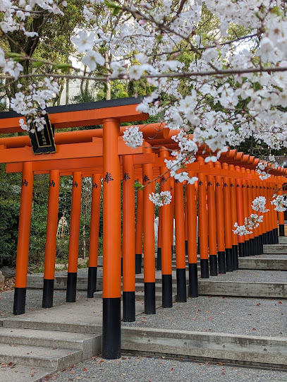Sacred Camphor Tree 楠の神木