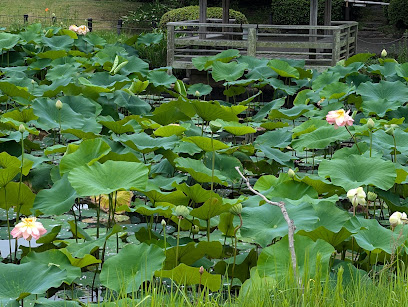 馬場花木園