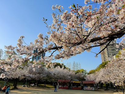 Kema Sakuranomiya Park
