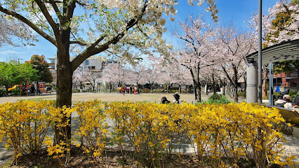 Someiyoshino Sakura-no-Sato Park