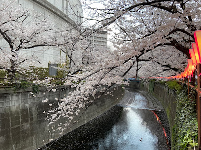 Meguro River