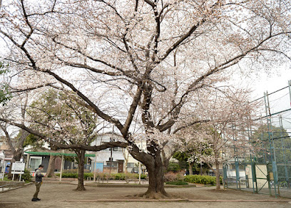 Igusa Sakura Park