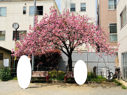 Yoyogi Midori Park