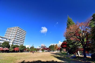 Shintera Yonchome Park