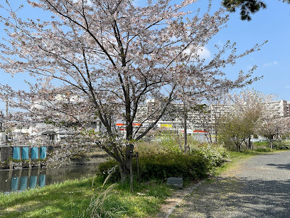 名城公園親水遊歩道