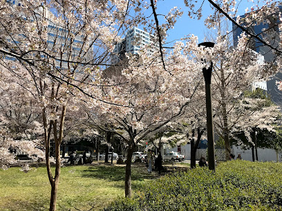 Odawara Nanachome Park
