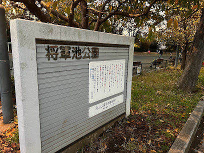 将軍池と加藤山の由来