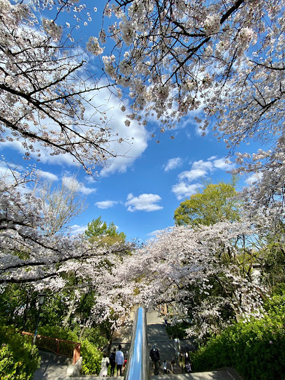 Nioino mori