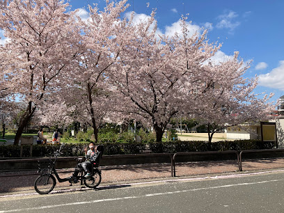 Hiyoshi Park