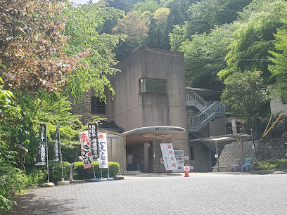 Shogaiseishunnoyu Tsurutsuru Onsen