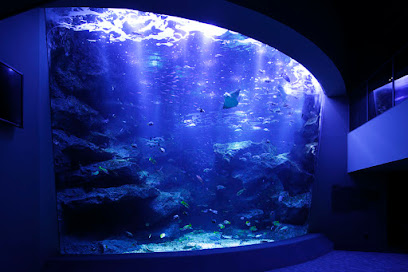 Sumida Aquarium