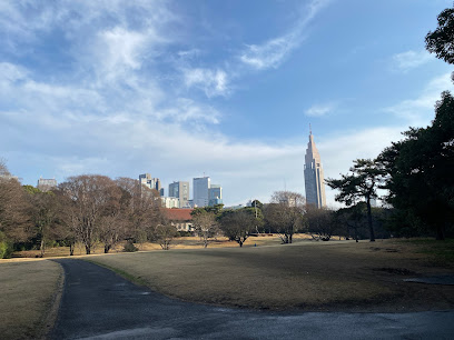 Treasure Hall Lawn