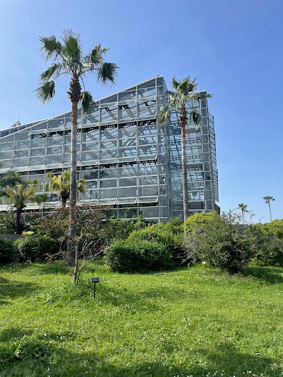 Tropical Garden