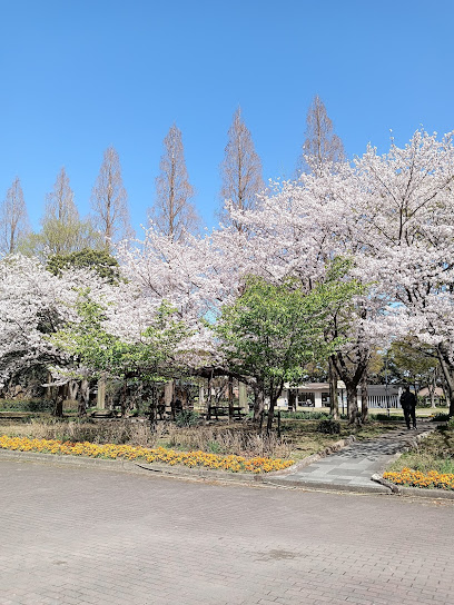 Todagawa Ryokuchi Park