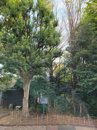 目黒区制施行五十周年記念樹木
