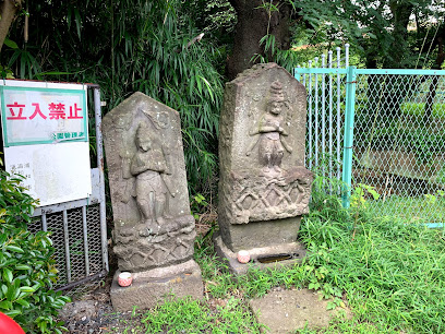 Marsh Shirahata