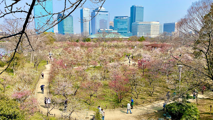 Osaka Castle’s Plum Grove