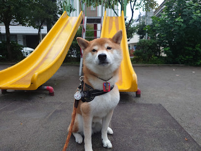 Taito Kuritsu Kanasogi Park
