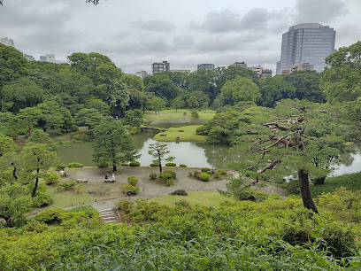 Fujishirotoge Viewpoint